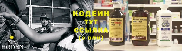 гашик Абаза