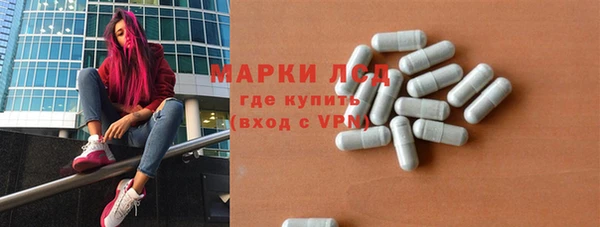 индика Абинск
