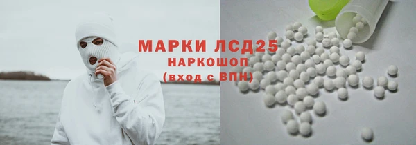 PSILOCYBIN Заводоуковск