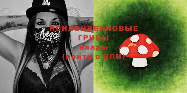 гашик Абаза