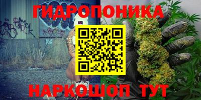 индика Чебаркуль