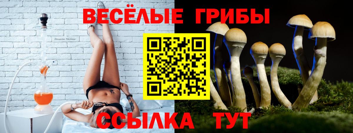 Галлюциногенные грибы Psilocybe  Вход с VPN  Алатырь  Псилоцибиновые грибы MAGIC MUSHROOMS 