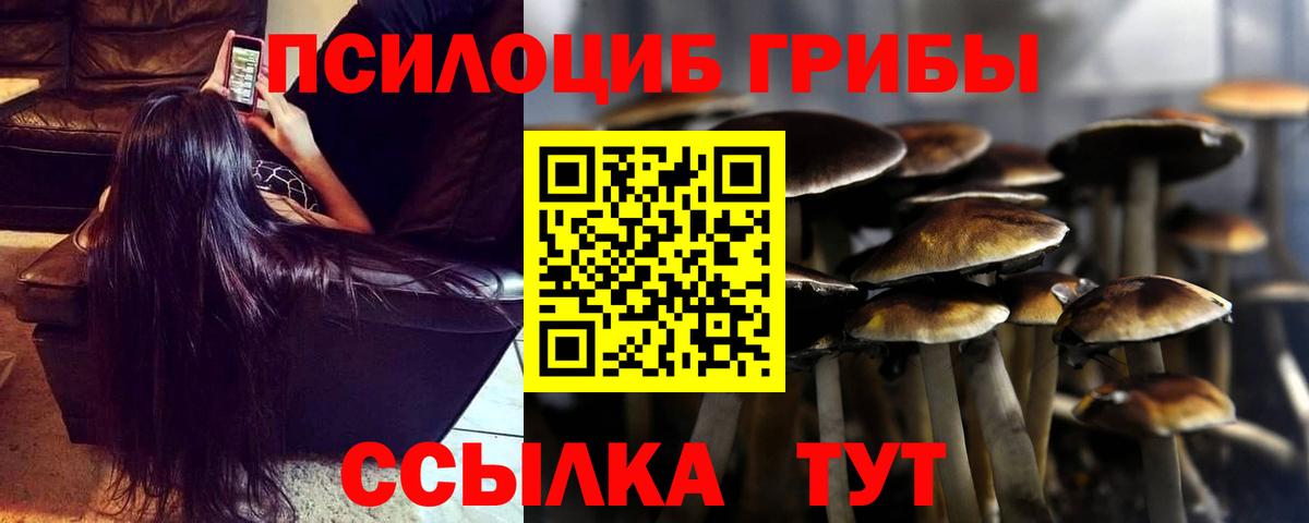 Галлюциногенные грибы Magic Shrooms Алатырь