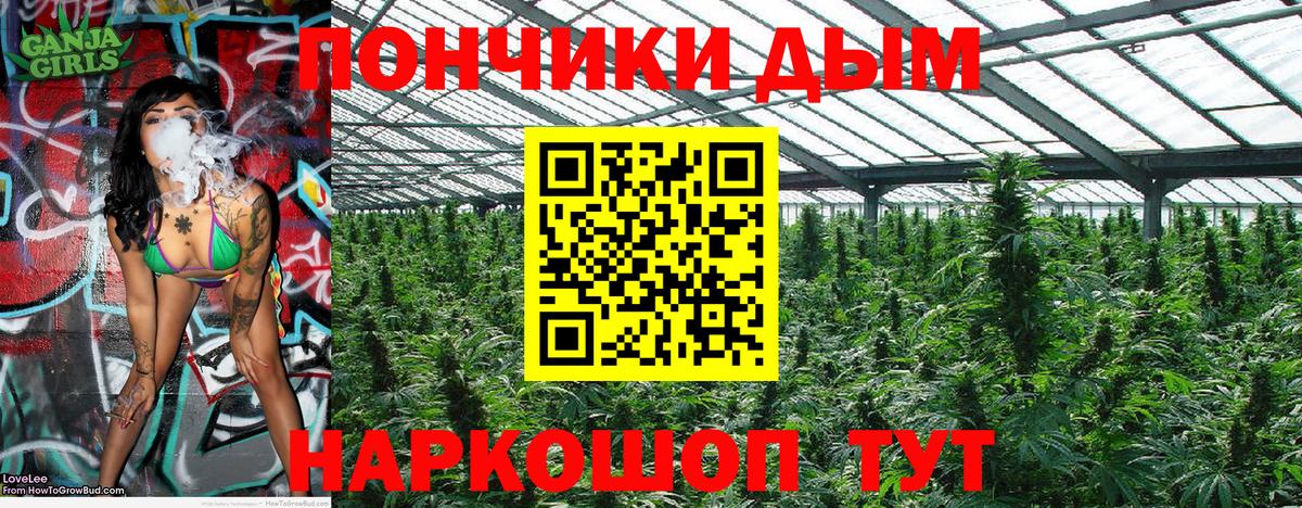 МАРИХУАНА VHQ  Каннабис индика  Вход с VPN  Бошки марихуана семена  Алатырь 